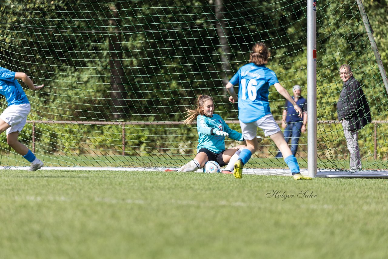 Bild 246 - wBJ VfL Pinneberg - Germania Schnelsen : Ergebnis: 15:1